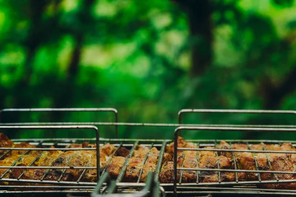 Cubes de viande marinée dans une grille de gril au brasero. kebab barbecue sur les braises à l'extérieur. pique-nique grillé dans la nature. vue de côté fermer un fond d'arbres verts — Photo