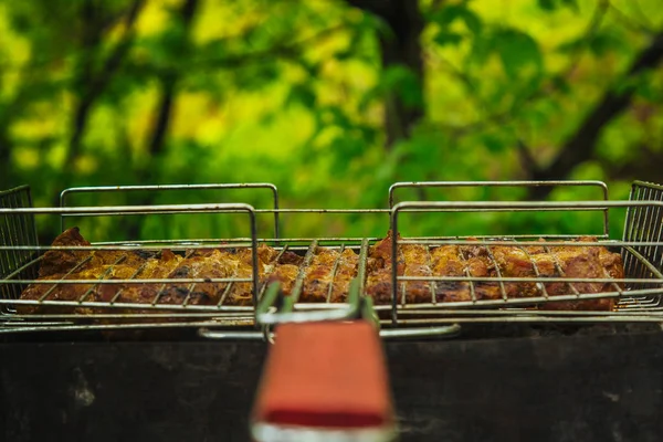 Кубики маринованного мяса в решетке гриля на жаровне. шашлык для барбекю на углях. Гриль пикник на природе. вид сбоку на фоне зеленых деревьев — стоковое фото