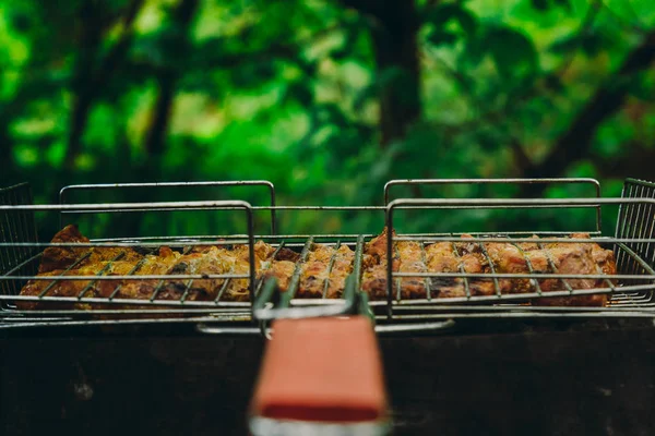 Cubos de carne conservada em escabeche em uma grelha de grelha no braseiro. churrasco kebab em brasas outdors. piquenique grelhado na natureza. vista lateral fechar um fundo de árvores verdes — Fotografia de Stock