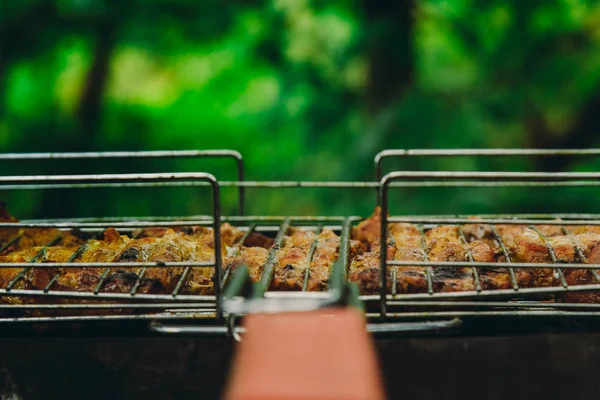 Cubos de carne conservada em escabeche em uma grelha de grelha no braseiro. churrasco kebab em brasas outdors. piquenique grelhado na natureza. vista lateral fechar um fundo de árvores verdes — Fotografia de Stock