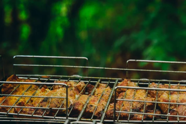 Los cubos de la carne en vinagre en la parrilla al brasero. barbacoa kebab en brasas outdors. picnic a la parrilla en la naturaleza. vista lateral cerrar un fondo de árboles verdes —  Fotos de Stock