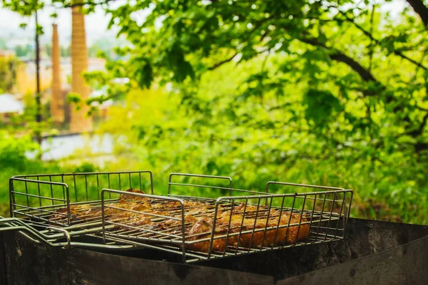 Cubos de carne conservada em escabeche em uma grelha de grelha no braseiro. churrasco kebab em brasas outdors. piquenique grelhado na natureza. vista superior de perto — Fotografia de Stock