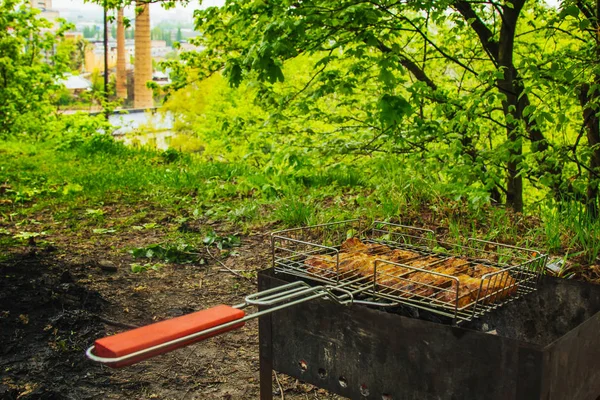 Kuber av Inlagd kött i en grill galler på Brazier. Grill Kebab på glöd outdors. Grillad picknick i naturen. sidovy närbild en bakgrund av gröna träd — Stockfoto