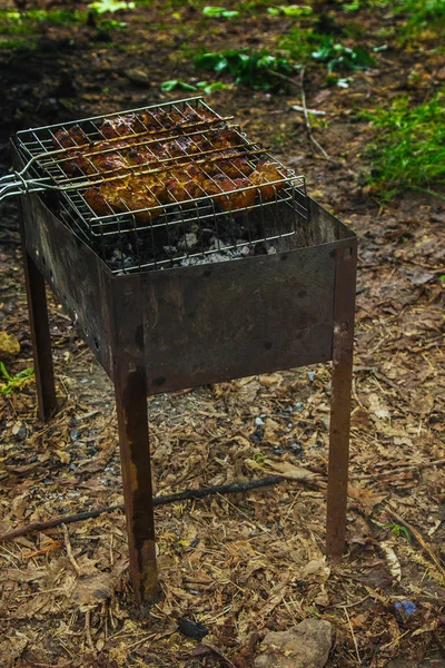 火鉢のグリル格子に漬け肉のキューブ。バーベキューケバブは、オーバードーズのオーバーバーに。自然の中で焼きピクニック。トップビュークローズアップ — ストック写真