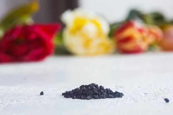 Um monte de sementes secas de flor preta close-up em um fundo de mesa branca. época de plantio. fechar o espaço de cópia de vista superior — Fotografia de Stock