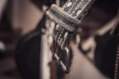 eğitim merkezinde bel için kemer. spor salonunda yakın çekim eğitim araçları