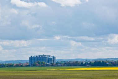 Mavi bir yaz gökyüzüne karşı sarı kolza çiçekleri ile dikilmiş yeşil bir alan. çok renkli bir çayır üzerinde güneşli gökyüzü. huzur, mutluluk. masaüstü duvar kağıdı