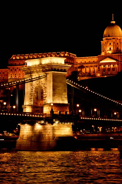 Nachtschwärmer, golden leuchtend. Die Kettenbrücke über die Donau wird von Glühbirnen beleuchtet. Foto aus dem Fluss — Stockfoto