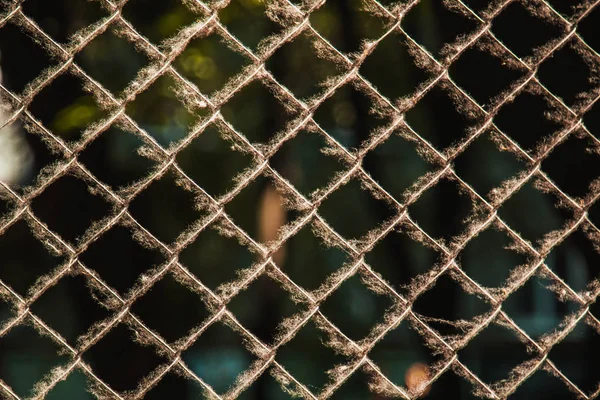 twisted woven metal mesh covered with poplar down on a blurred background close-up. fencing allergens on the street in summer. copy space