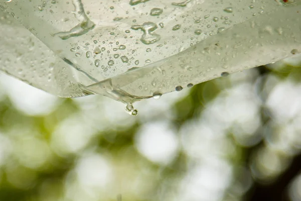 屋外のボケに対してポリエチレンフィルムから雨が流れ落ちた後に水滴を落とします。外の自家製の雨の保護。ポリエチレンエンベロープに水を凝縮します。ピクニックで悪天候 — ストック写真