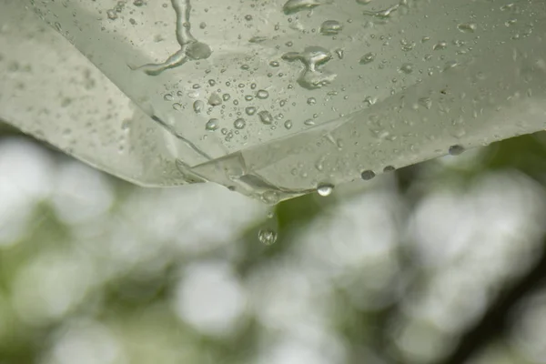 雨从聚乙烯薄膜流到室外的散景后滴水。自制防雨外。聚乙烯信封上的冷凝水。野餐时天气不好 — 图库照片