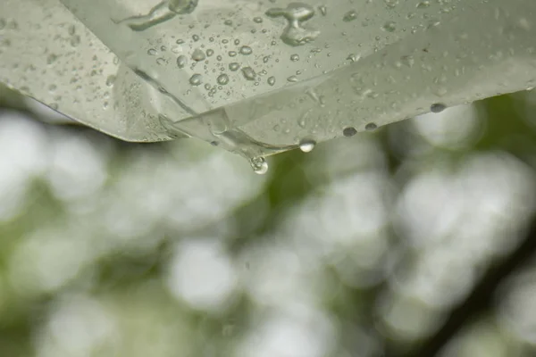 雨从聚乙烯薄膜流到室外的散景后滴水。自制防雨外。聚乙烯信封上的冷凝水。野餐时天气不好 — 图库照片