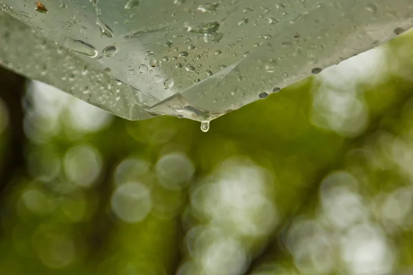 Wassertropfen nach einem Regen fließen aus einer Polyethylenfolie gegen ein Bokeh im Freien. hausgemachter Regenschutz draußen. Kondenswasser auf Polyethylen-Hülle. Schlechtes Wetter bei einem Picknick — Stockfoto