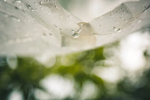 Gotas de agua después de una lluvia fluyen desde una película de polietileno contra un bokeh al aire libre. protección contra la lluvia casera fuera. agua condensada sobre sobre de polietileno. mal tiempo en un picnic — Foto de Stock