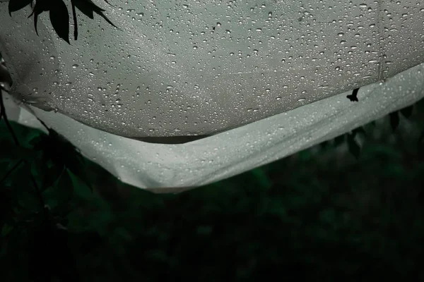 Wassertropfen nach einem Regen fließen aus einer Polyethylenfolie gegen ein Bokeh im Freien. hausgemachter Regenschutz draußen. Kondenswasser auf Polyethylen-Hülle. Schlechtes Wetter bei einem Picknick — Stockfoto