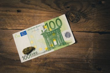 bir kenevir tomurcuk yüz euro fatura yakın çekim yatıyor. yasal laştırılmış yumuşak ilaçların satın alınması ve satılması. tıbbi esrar iş kavramı