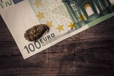 bir kenevir tomurcuk yüz euro fatura yakın çekim yatıyor. yasal laştırılmış yumuşak ilaçların satın alınması ve satılması. tıbbi esrar iş kavramı