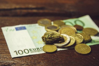 Bir kenevir tomurcuk yüz euro fatura ve sikke yakın çekim yatıyor. yasal laştırılmış yumuşak ilaçların satın alınması ve satılması. tıbbi esrar iş kavramı