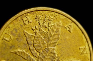 Sikke on Hırvat lipa makro siyah arka plan üzerinde izole. Metalik paranın detayı yakından. avrupa ülkesi hırvatistan para