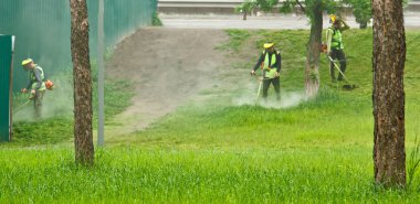 açık yeşil üniforma ve maskeler güneşli bir yaz gününde El Benzin Çim biçme makineleri ile bir parkta çim biçme kamu belediye işçileri bir grup. park alanının bakımı