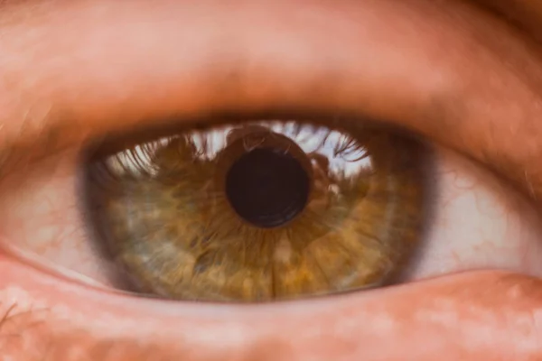 Ojo masculino de cerca. El hombre mira en el marco. iris marrón en macro — Foto de Stock