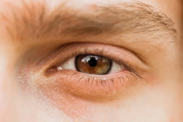 male eye close up. man looks into the frame. brown iris in macro