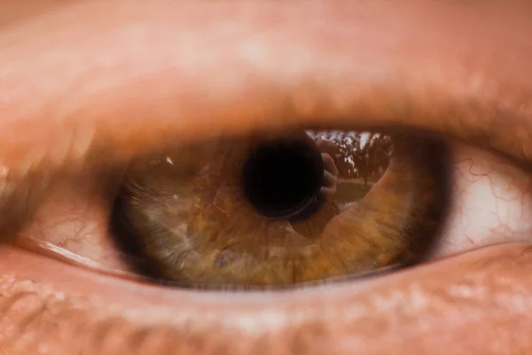 male eye close up. man looks into the frame. brown iris in macro