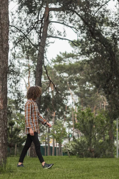 Портрет молодого кучерявого хлопця в літньому парку на вулиці. концепція студента та молодого мандрівника — стокове фото
