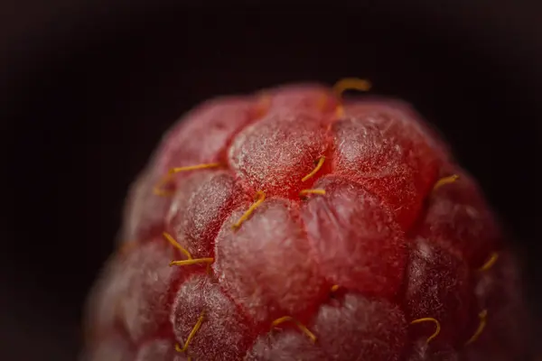 Baies de framboises rouges gros plan. doux été baies médicinales macro détails — Photo