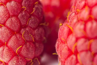 kırmızı ahududu meyveleri yakın çekim. tatlı yaz tıbbi çilek makro detayları