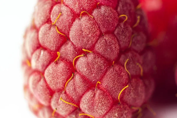 레드 라즈베리의 열매를 클로즈업. 달콤한 여름 약용 베리 매크로 세부 사항 — 스톡 사진