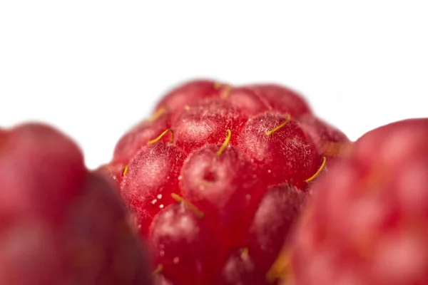 Berries of red raspberries close-up. sweet summer medicinal berries macro details — Stock Photo, Image