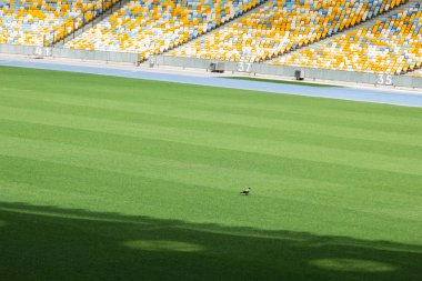 futbol stadyumu içinde görünümü. futbol sahası, boş tribünler, taraftar kalabalığı, gökyüzüne karşı bir çatı