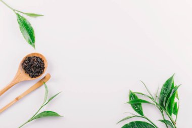Beyaz arkaplanda izole edilmiş eski yeşil çay yaprağı