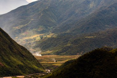 Muchangchai, Vietnam 'daki yeşil pirinç tarlaları Kuzeybatı' daki hasadı hazırlıyor.