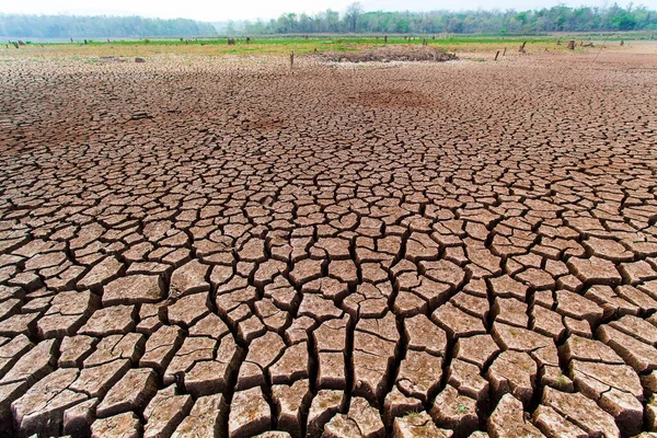 Rissiges Trockenes Land Ohne Wasser — Stockfoto