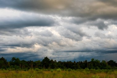 Gök gürültülü fırtına. Yağmur bulutları.