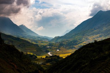Muchangchai, Vietnam 'daki yeşil pirinç tarlaları Kuzeybatı' daki hasadı hazırlıyor.