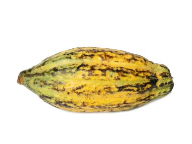 Kakao meyvesi, çiğ kakao fasulyesi, beyaz arka planda kakao kabuğu.