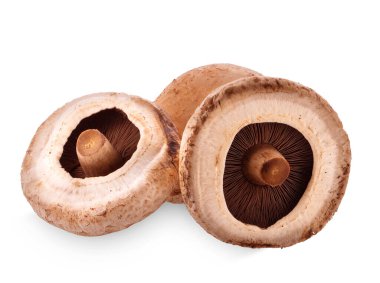 Portobello mantarları, beyaz arka planda izole edilmiş..