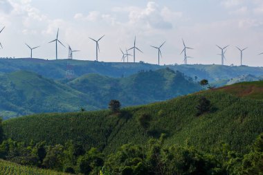 Güneşli sabah rüzgar türbinleri