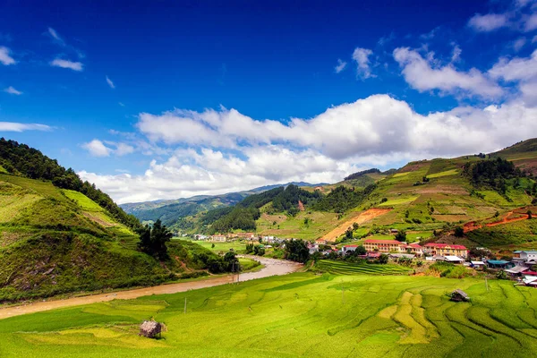 Zelená Rýžová Pole Terasách Muchangchai Vietnam Rýžová Pole Připravují Sklizeň — Stock fotografie