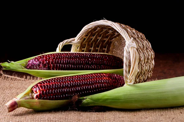 Fresh Corn Cobs Rustic Wooden Table Closeup — Stock Photo, Image