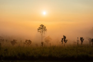 Gün batımında bulutlu renkli dramatik gökyüzü.