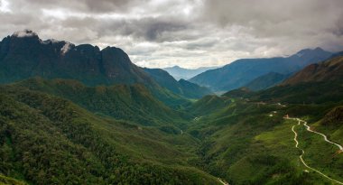 Muchangchai, Vietnam 'daki yeşil pirinç tarlaları Kuzeybatı' daki hasadı hazırlıyor.