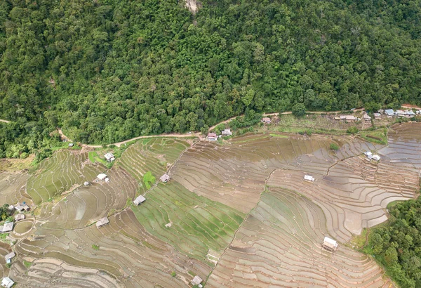 Top view Terraced rice field at Mae Cham Chiangmai Northern Thailand