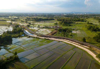 Yeşil ormandan ve dağdan geçen kırsal yolun üst görüntüsü.