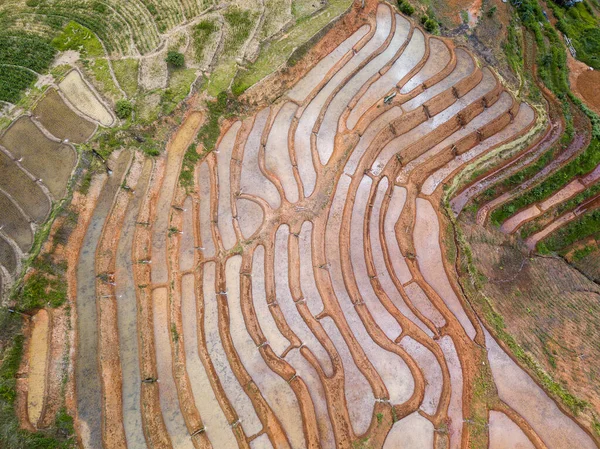 Vista Superior Campo Arroz Terrazas Mae Cham Chiangmai Norte Tailandia — Foto de Stock