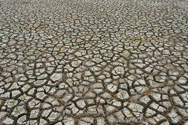 水のない乾燥した土地を割れます — ストック写真