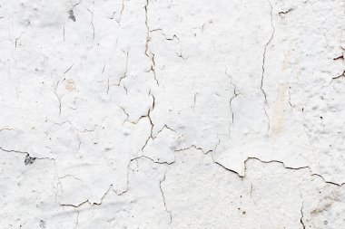 Açık Gri Stucco Duvar dokusu. Soyut Arkaplan